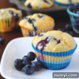 Luscious Blueberry Yogurt Muffins 4 Blueberry Yogurt Muffins