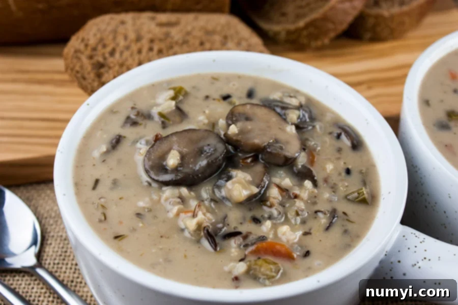 A steaming bowl of creamy wild rice and mushroom soup, garnished with fresh herbs.