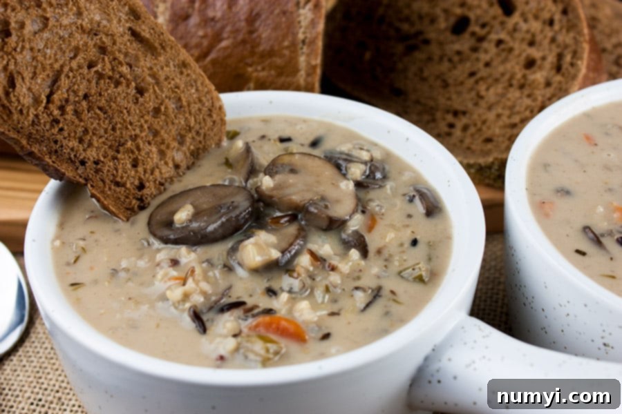Close-up of wild rice and mushroom soup with visible grains of wild rice and mushroom slices.