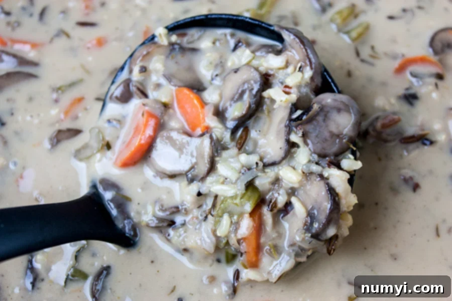 A ladle scooping a portion of wild rice and mushroom soup from a pot.