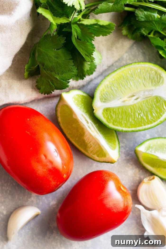 How to make Homemade Pico de Gallo - a simple and fresh salsa. Make this as chunky or smooth as you like and as spicy or mild as you like.