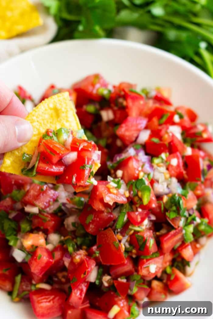 How to make Homemade Pico de Gallo - a simple and fresh salsa. Make this as chunky or smooth as you like and as spicy or mild as you like.