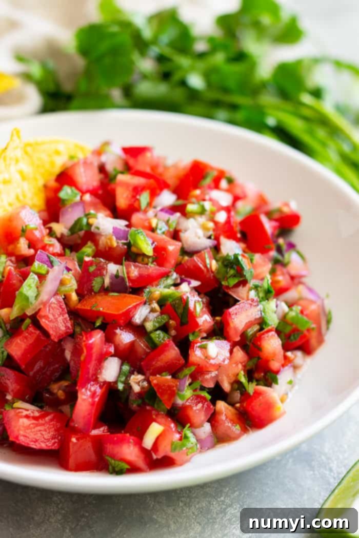 How to make Homemade Pico de Gallo - a simple and fresh salsa. Make this as chunky or smooth as you like and as spicy or mild as you like.