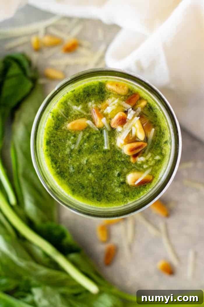 How to Make Basil Pesto -a simple recipe that everyone should have! It's so quick and easy to make and tastes so much better than the store bought!