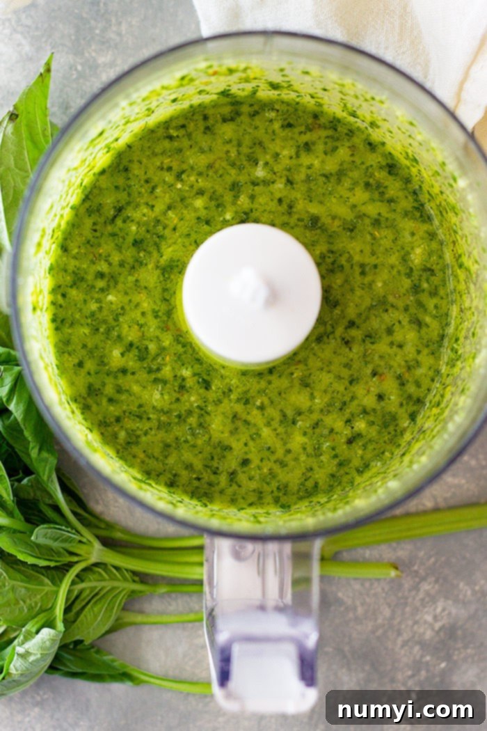 How to Make Basil Pesto -a super simple recipe that everyone needs to learn! This is a great guide showing you how to make pesto along with substitutions and how to store basil pesto. 