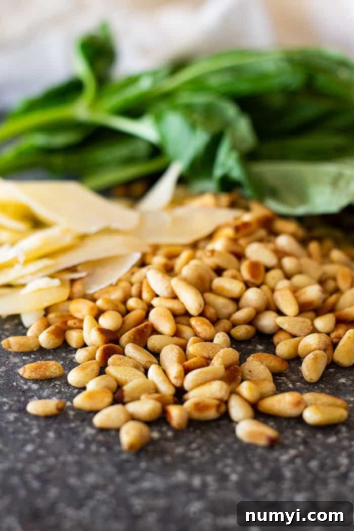 How to Make Basil Pesto -a great guide showing you how to make the basic basil pesto along with some substitutions. Homemade basil pesto is so easy to make and tastes so much better than the store bought. 