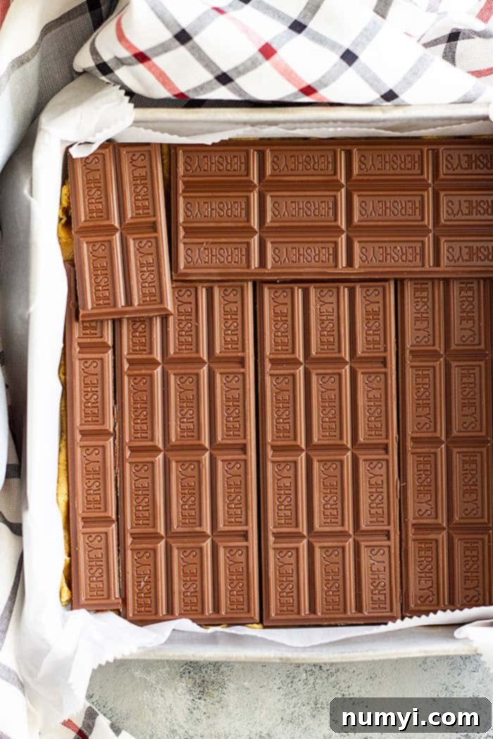 Top view of s'mores cookie bars with chocolate bars