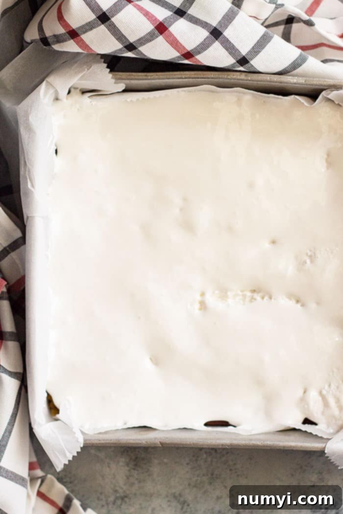 Top view of s'mores cookie bars with marshmallow creme.
