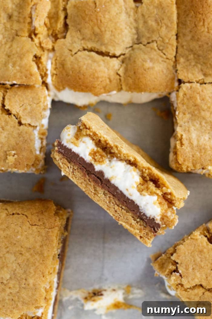 Top view of s'mores cookie bars on surface