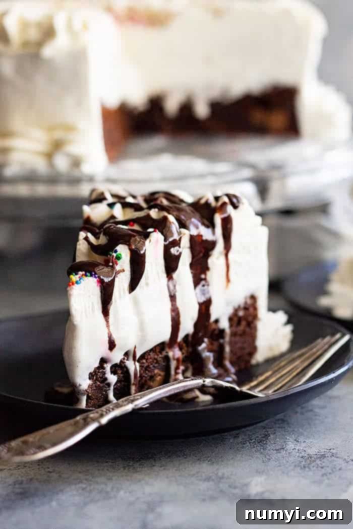 A stunning multi-layered Brownie Ice Cream Cake, perfect for impressing guests at any summer party. It features a dense brownie base, a thick hot fudge layer, creamy vanilla ice cream, and is crowned with fluffy whipped cream and sprinkles.