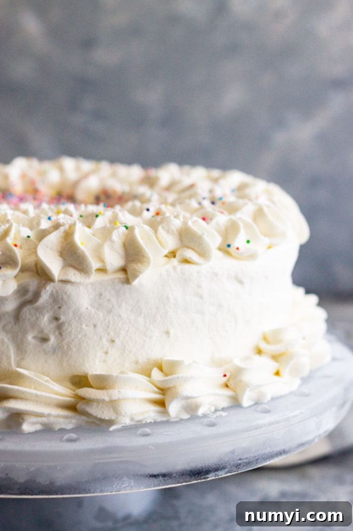A delightful slice of Brownie Ice Cream Cake served on a plate, highlighting its impressive layers of brownie, hot fudge, vanilla ice cream, and a generous dollop of homemade whipped cream. Ideal for any summer gathering.