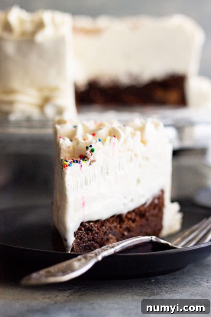 A beautifully sliced portion of Brownie Ice Cream Cake, revealing all the delicious layers and texture. This basic recipe offers many options to customize and take your dessert to the next level, perfect for any occasion.