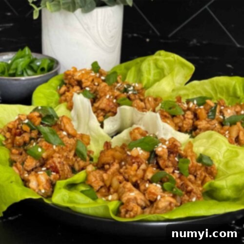 Beautifully arranged chicken lettuce wraps on a dark plate, showcasing the vibrant colors and textures of the dish, ready to be eaten.