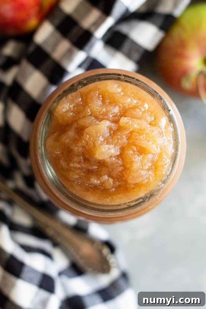 Delicious, perfectly spiced homemade applesauce served in a bowl, ready to be enjoyed as a healthy snack. Features natural, sugar-free goodness.