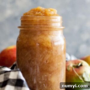 A bowl of delicious, spiced homemade applesauce, garnished with cinnamon sticks, showcasing its wholesome appeal.