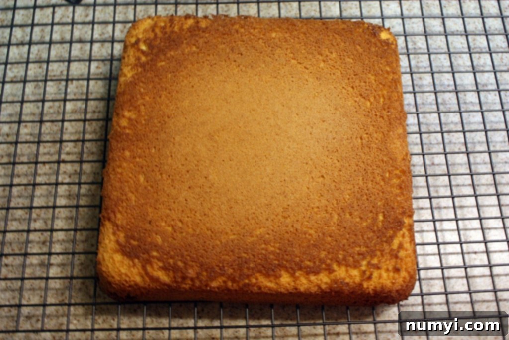 Genoise cake on a wire rack.