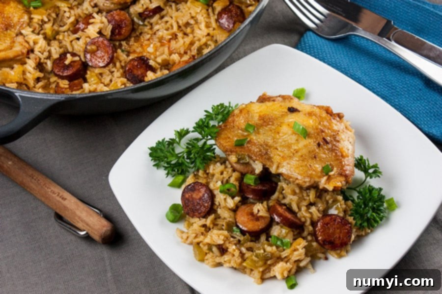 One pan chicken and dirty rice served on a white plate, garnished with fresh green onions.