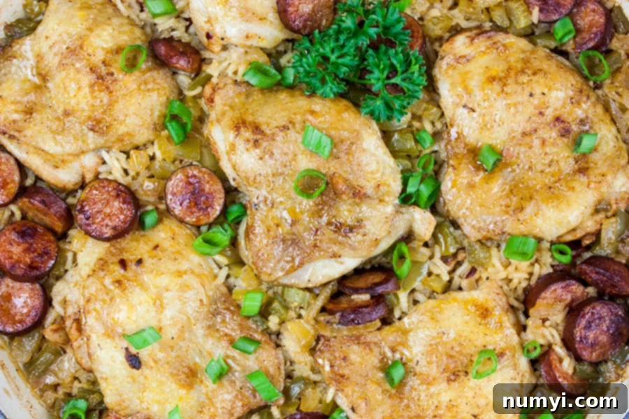 One Pot Chicken and Dirty Rice - baked chicken, rice and sausage in pan, cooked to perfection.