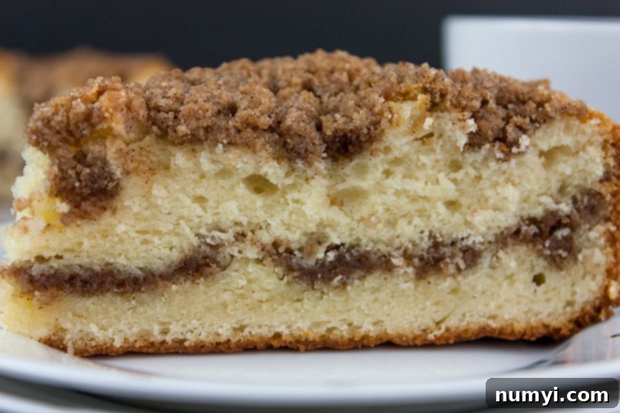 A delectable slice of Cinnamon Crumb Coffee Cake presented on a pristine white plate, showcasing its moist texture, rich cinnamon swirl, and golden streusel topping.