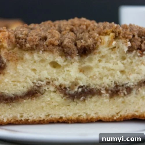 Cinnamon Crumb Coffee Cake on a white plate, a close-up shot of a perfect slice.