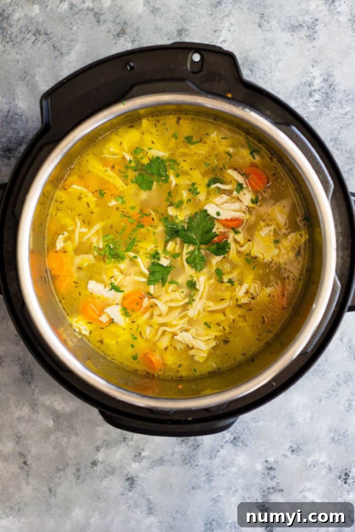 Overhead view of the Instant Pot chicken noodle soup in the Instant Pot, ready to be served, garnished with fresh herbs.