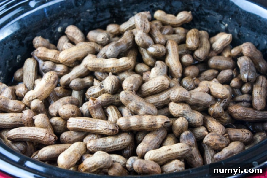 Slow Cooker Boiled Peanuts in the crock of a slow cooker.