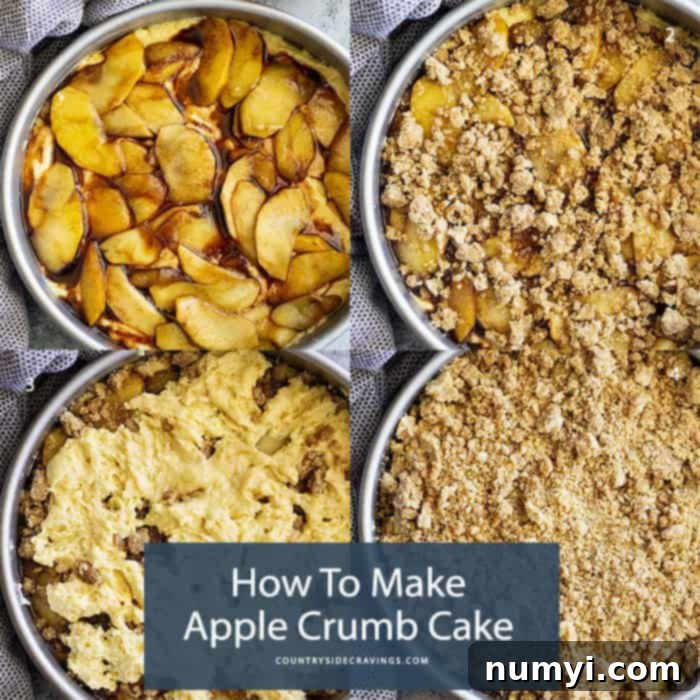 titled image (and shown): how to make apple crumb cake