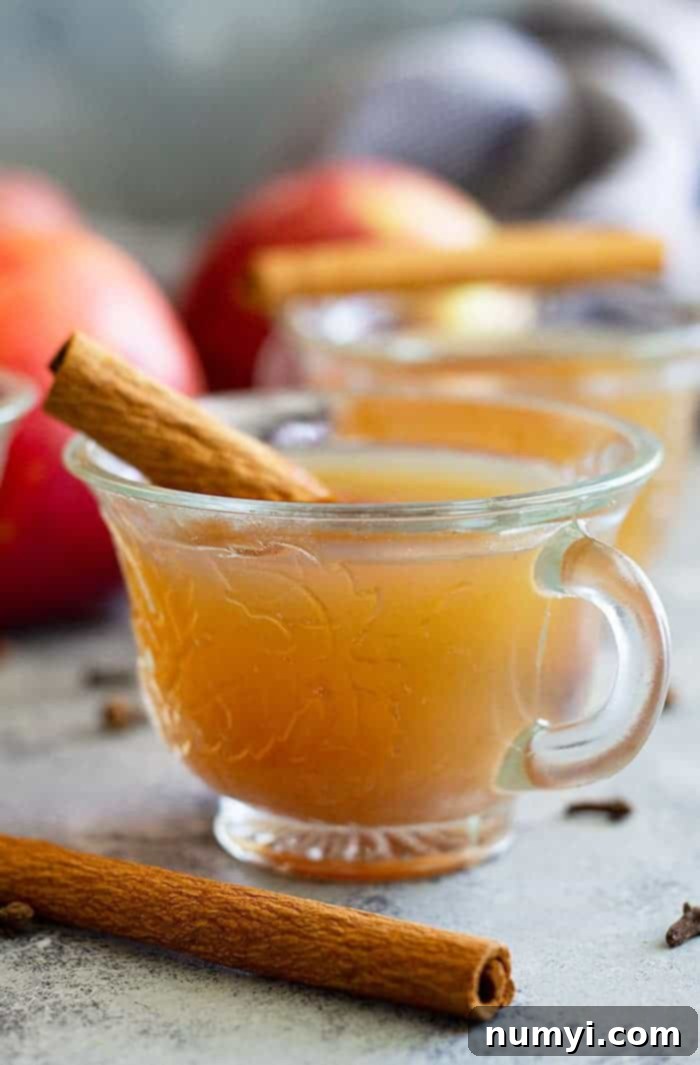 This Homemade Apple Cider is easy to make and perfect for fall and for parties! Slow cooker, Instant Pot, and stove top instructions included. #apples #applecider #beverage #easyrecipe