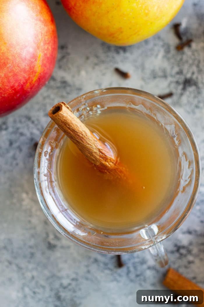 Homemade Apple Cider that's filled with warm spices like cinnamon, allspice, and a little clove. It's the perfect drink to warm up with! Slow cooker, Instant Pot, and stove top instructions included. #apples #applecider #easyrecipe #beverage