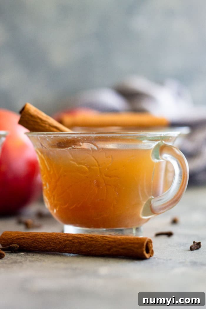 This Homemade Apple Cider is easy to make and perfect for fall and for parties! Slow cooker, Instant Pot, and stove top instructions included. #apples #applecider #beverage #easyrecipe