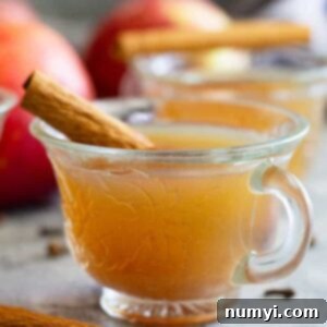 This Homemade Apple Cider is easy to make and perfect for fall and for parties! Slow cooker, Instant Pot, and stove top instructions included. #apples #applecider #beverage #easyrecipe