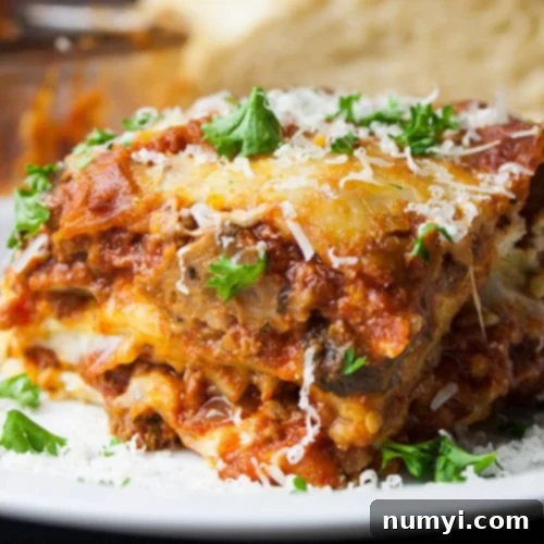 Lasagna on a white plate garnished with parsley and cheese.