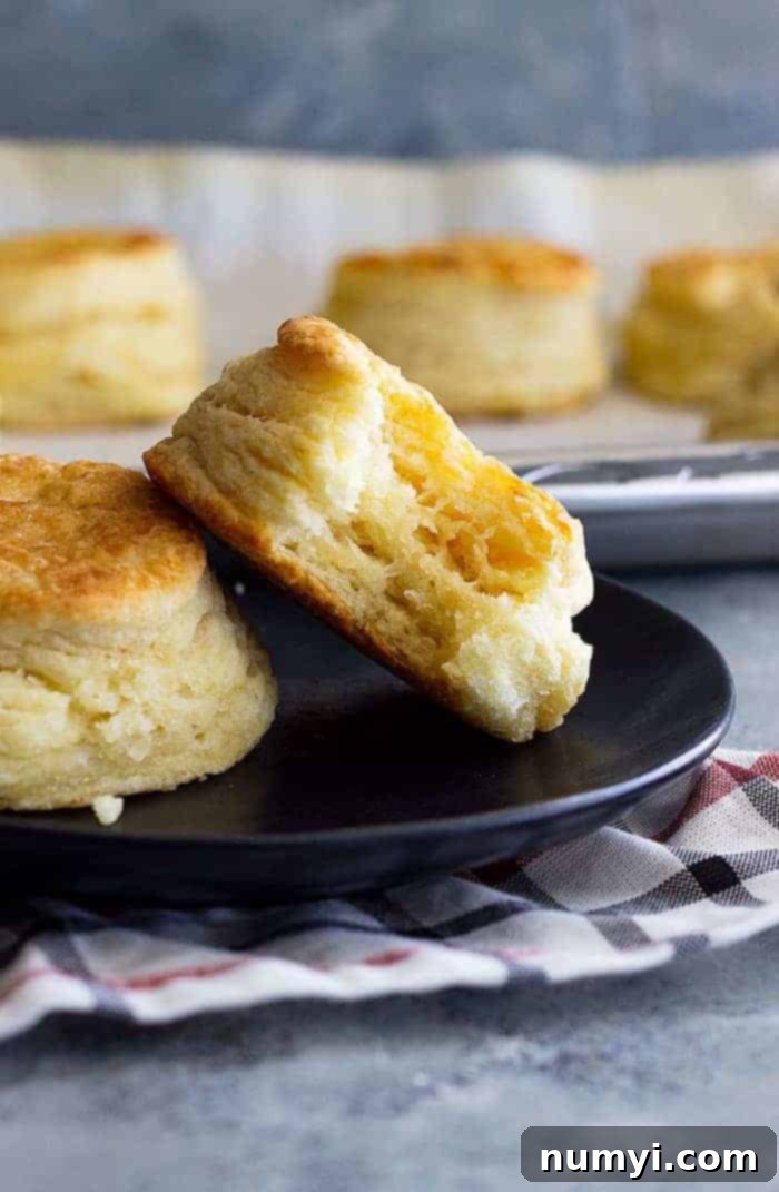 A close-up of a perfectly flaky buttermilk biscuit on a black plate, with a bite taken to reveal its many buttery layers and soft interior.