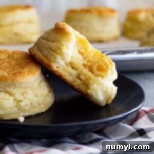 How to make flaky buttermilk biscuits. This guide will show you everything to make fluffy, buttery, flaky biscuits. #homemadebiscuits #buttermilkbiscuits #bread #biscuitrecipe