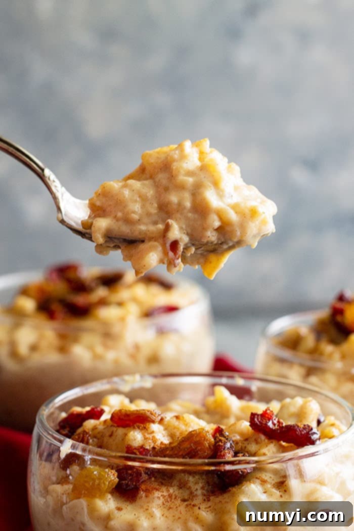 A bowl of creamy stovetop rice pudding with cinnamon and raisins, garnished with a sprinkle of cinnamon, perfect for a comforting dessert. #ricepudding #homemadericepudding #creamydessert