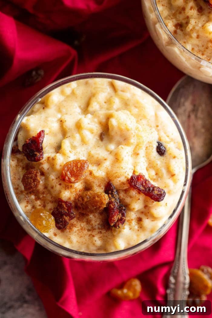 Overhead shot of two bowls of stovetop creamy rice pudding, one garnished with cinnamon and the other plain, highlighting the rich texture. #ricepuddingideas #easyricedessert #stovetopcooking
