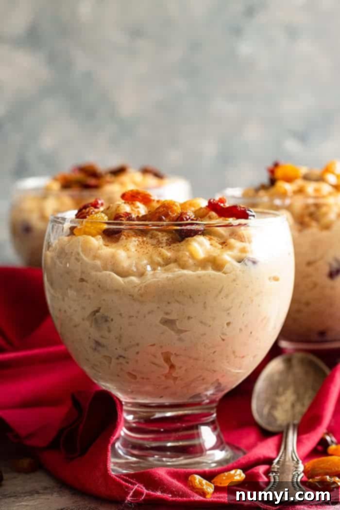 A serving of creamy stovetop rice pudding in a glass bowl, showcasing its smooth texture and the occasional raisin. #ricerecipe #dessertlover #foodie