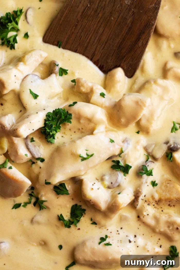A close up of creamy chicken stroganoff, richly textured and garnished with fresh chopped parsley and a sprinkle of black pepper.