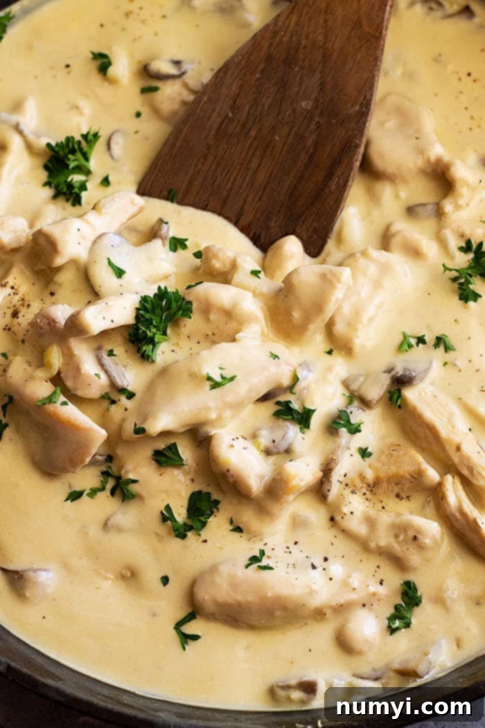 A serving of chicken stroganoff in a bowl, with a spoon resting in it, showcasing the creamy sauce and tender chicken pieces.