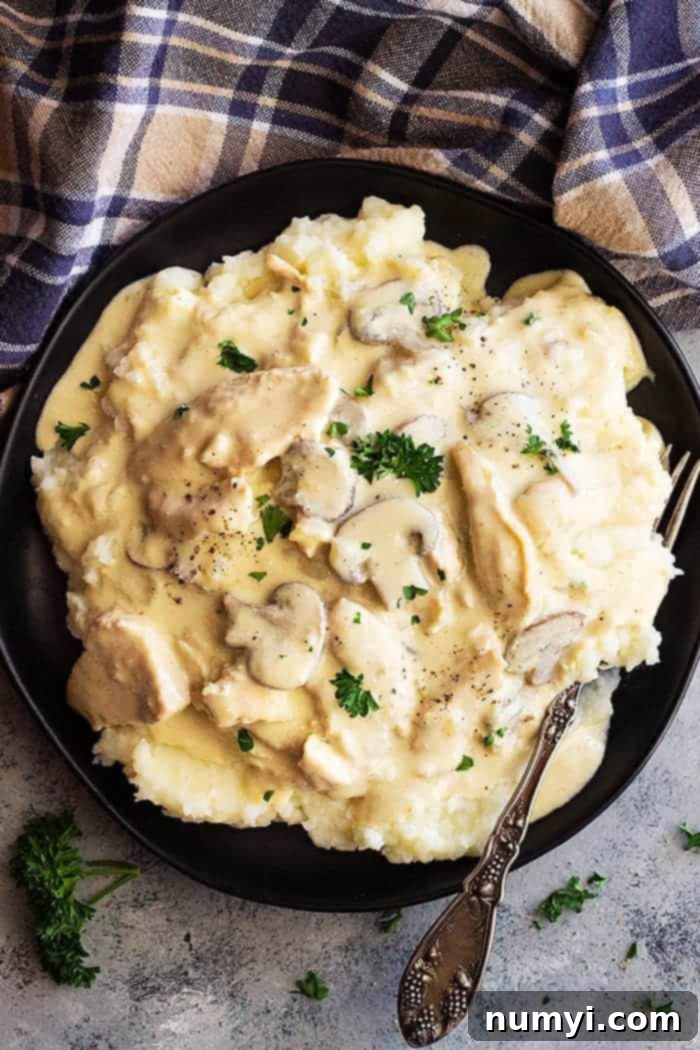A top-down view of a large plate of chicken stroganoff served generously over a bed of creamy mashed potatoes, ready to be enjoyed.