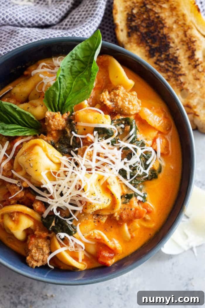 A top down view of a creamy sausage and tortellini soup, garnished with black pepper and fresh basil leaves, served with crusty bread.