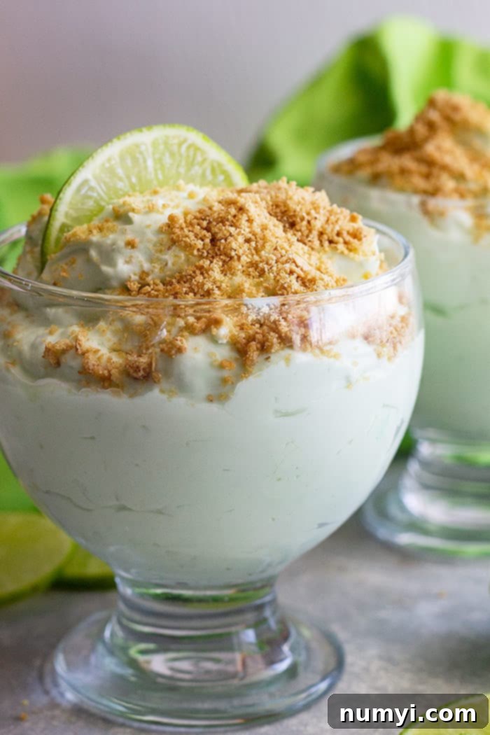 Zesty Lime Cheesecake Cloud 2 A dessert bowl filled with lime cheesecake fluff and topped with graham cracker crumbs.