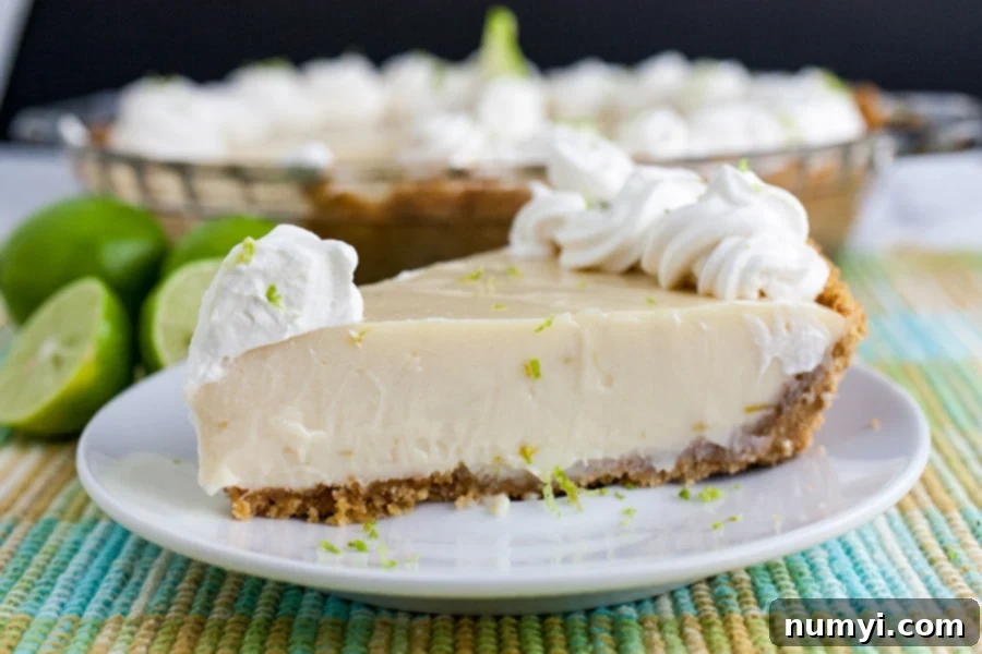 Effortless Egg-Free Key Lime Pie 2 Key Lime Pie on a light plate garnished with whipped cream and lime zest.