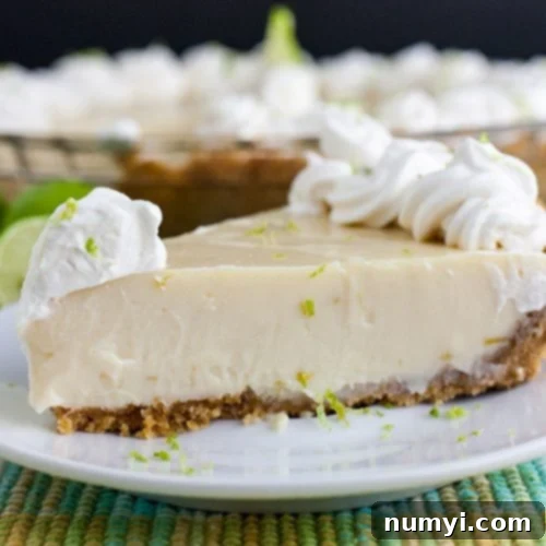 Effortless Egg-Free Key Lime Pie 8 Key Lime Pie on a light plate garnished with whipped cream and lime zest.