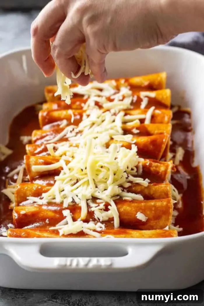 A pair of hands delicately adding shredded Monterey Jack cheese to a corn tortilla, preparing it for rolling into an enchilada.