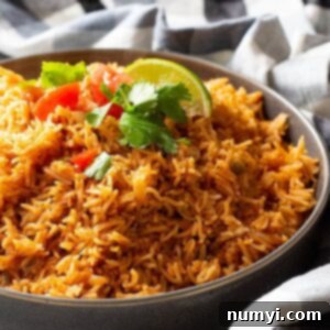 Easy Spanish Rice is the perfect side dish for all you Mexican inspired meals! Instant pot and stove top instructions included! #spanishrice #mexicanrice