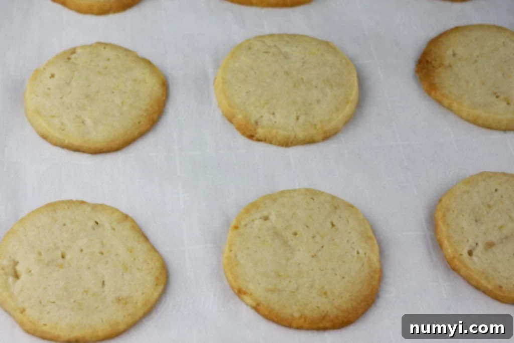 Zesty Lemon Cream Sandwiches 4 Lemon shortbread cookie dough rolled into a perfect log, ready for chilling.