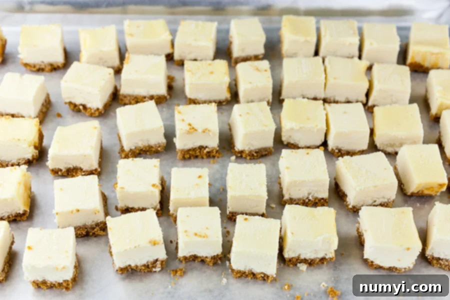 Chocolate Covered Cheesecake Bites - cheesecake cut into 1-inch squares