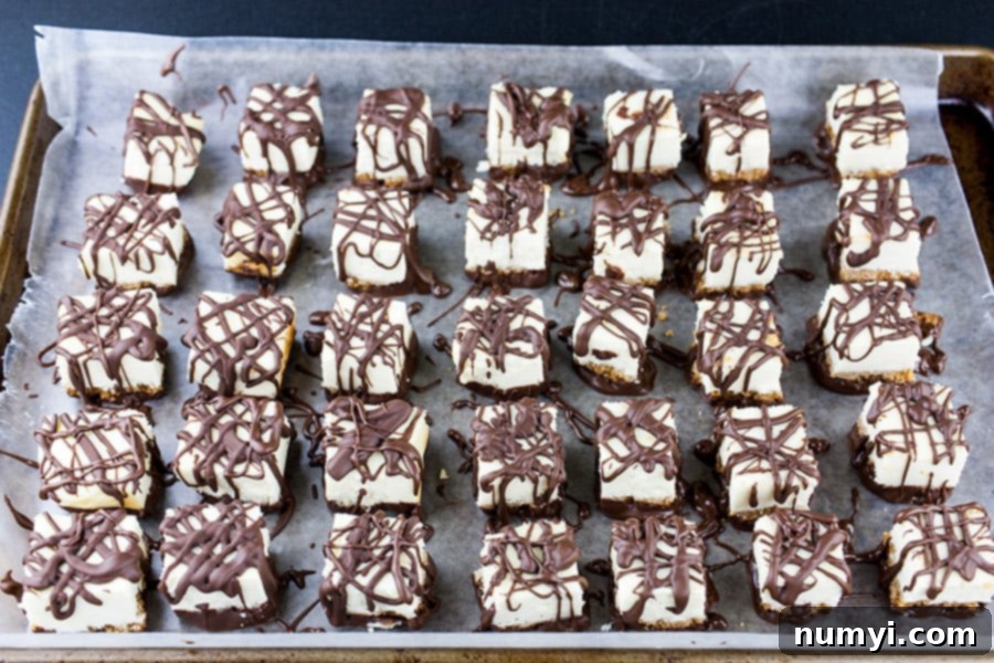 Chocolate Covered Cheesecake Bites - cheesecake squares drizzled with chocolate