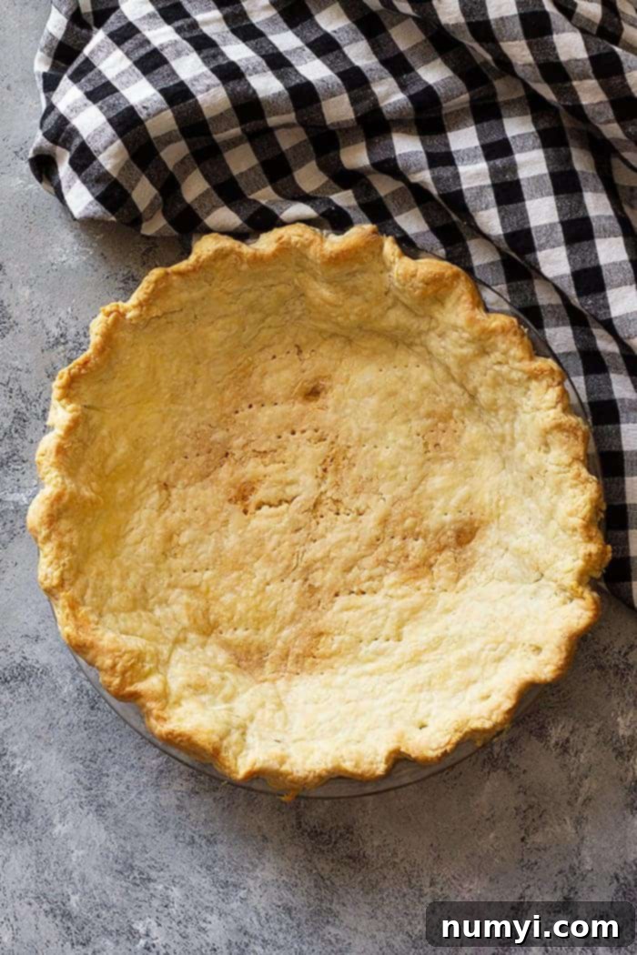 overhead: a golden blind baked pie crust